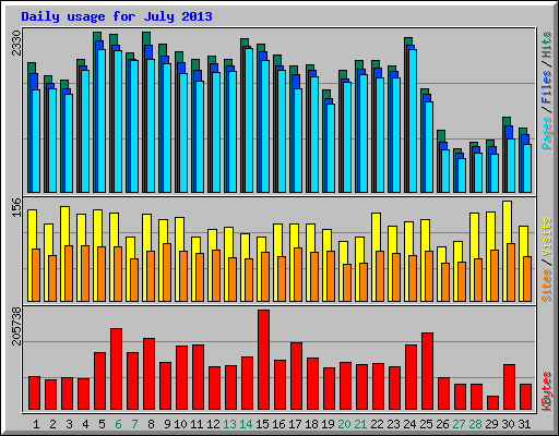 Daily usage for July 2013
