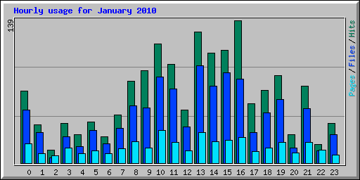 Hourly usage for January 2010