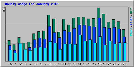 Hourly usage for January 2013