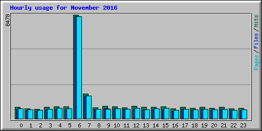Hourly usage for November 2016