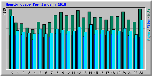 Hourly usage for January 2019