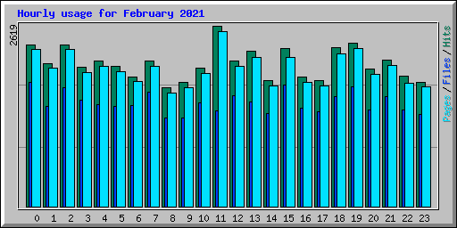 Hourly usage for February 2021