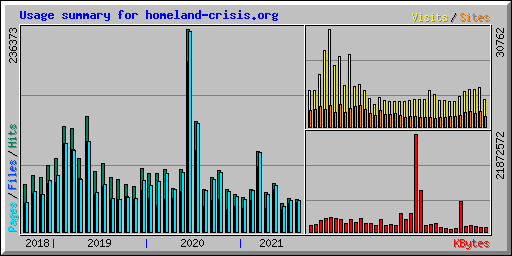 Usage summary for homeland-crisis.org